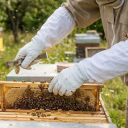 Rukavice včelařské - kozinka - vel.: S-XXL Thumb