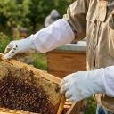 Rukavice včelařské - kozinka - vel.: S-XXL Thumb