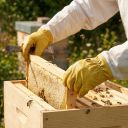 Rukavice včelařské - impregnované - vel.: S-XXL Thumb