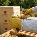 Rukavice včelařské - impregnované - vel.: S-XXL Thumb