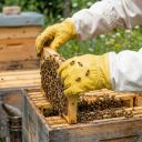 Rukavice včelařské - impregnované - vel.: S-XXL Thumb