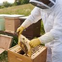 Profi kombinéza včelařská s kuklou vel: S-XXL Thumb