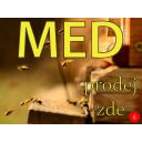 Cedule / tabule - prodej medu Thumb