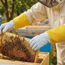 Rukavice včelařské - s větráním - vel.: S-XXL Thumb