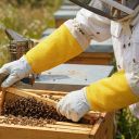 Rukavice včelařské - s větráním - vel.: S-XXL Thumb