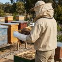 Bunda včelařská OPTIMA Lysoň, vel.: S-XXXXL Thumb