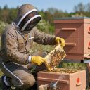 Včelařská kombinéza s ventilací Elegant Bee vel.: S-XXXXL Thumb