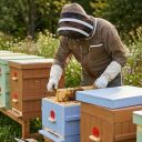 Včelařská kombinéza s ventilací Elegant Bee vel.: S-XXXXL Thumb