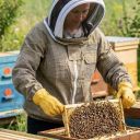 Včelařská bunda s částečnou ventilací Elegant Bee vel.: S-XXXXL Thumb