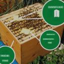 thymovar-prouzky-2-x-5-ks-10.jpg_1 THYMOVAR proužky 2 x 5 ks Thumb