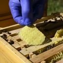 thymovar-prouzky-2-x-5-ks-05.jpg_1 THYMOVAR proužky 2 x 5 ks Thumb