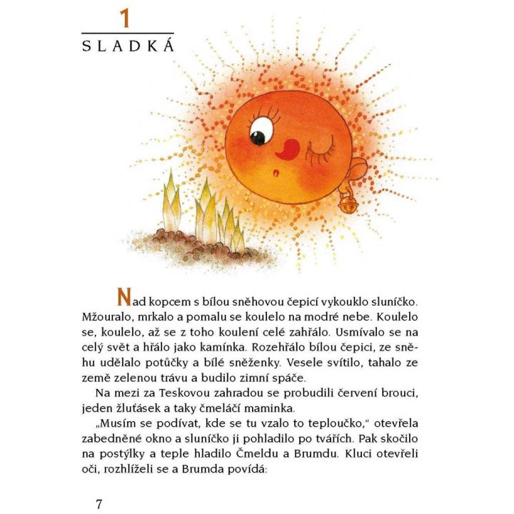 Včelí medvídci od jara do zimy - Jiří Kahoun