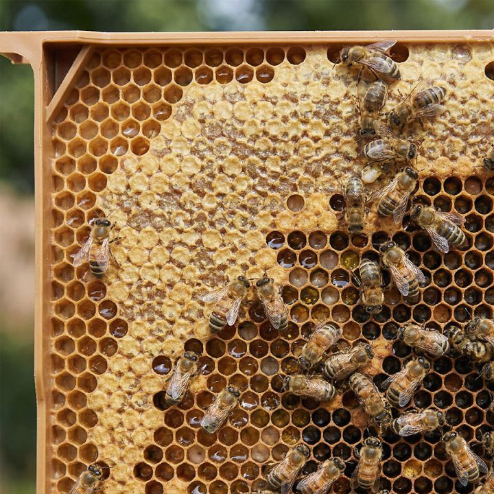 Celoplastový rámek r.m. 39x24 - 3 gen. - termoplast - hnědý