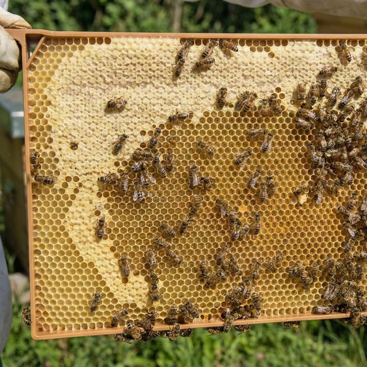 Celoplastový rámek r.m. 39x24 - 3 gen. - termoplast - hnědý