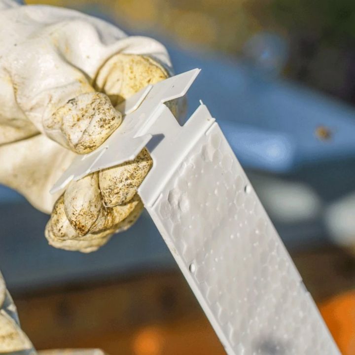 Calistrip Biox 6,44 g - 10 pásků