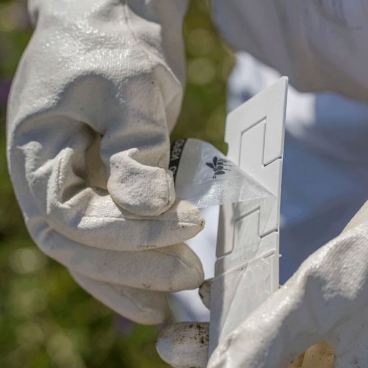 Calistrip Biox 6,44 g - 10 pásků