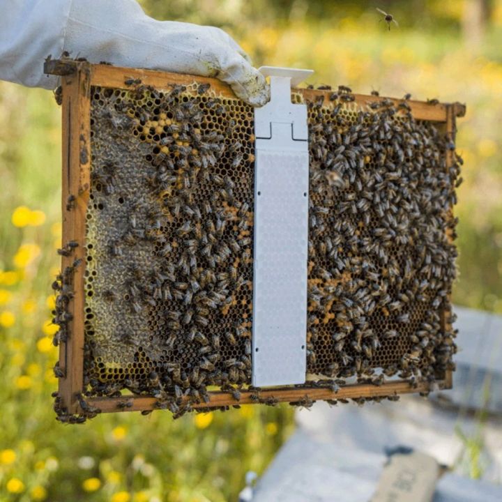 Calistrip Biox 6,44 g - 10 pásků