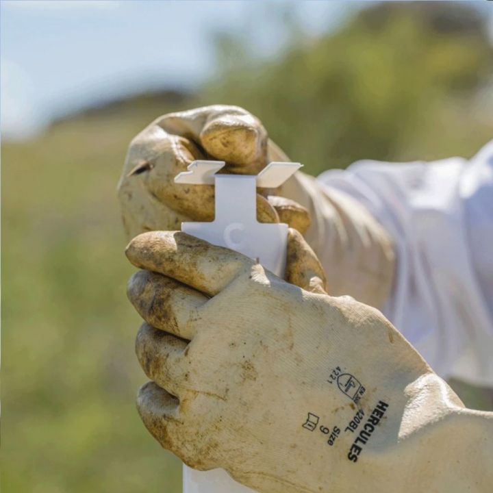 Calistrip Biox 6,44 g - 10 pásků