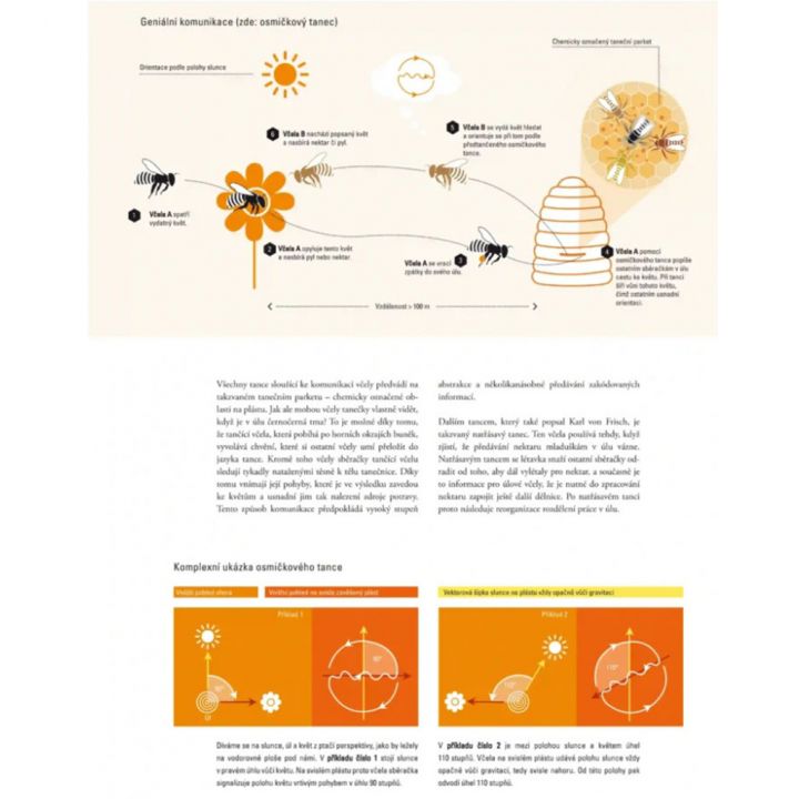 Smrt královny - Joana Kelén