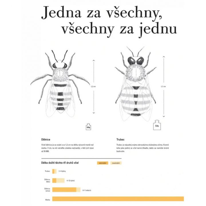 Smrt královny - Joana Kelén