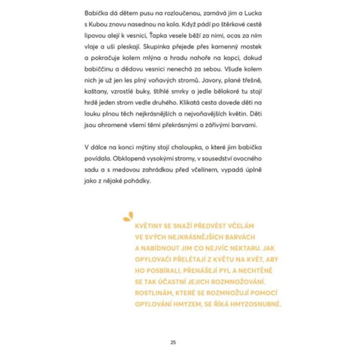 Tajemství slečny Medulky - Nika Pengal, Anže Gallus Petelin