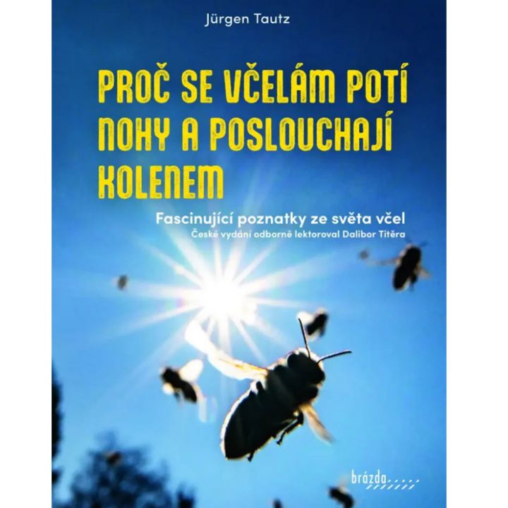 Proč se včelám potí nohy a poslouchají kolenem - Jürgen Tautz
