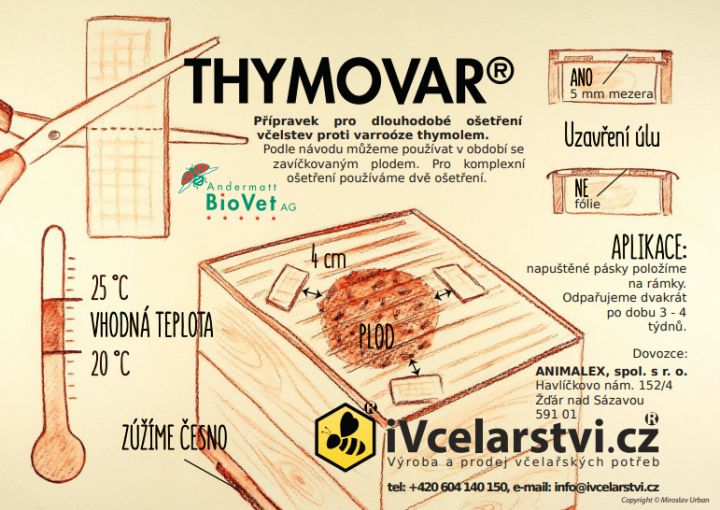 thym-obr-dr.jpg