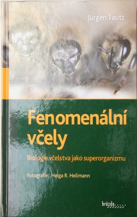 149008-fenomenalni-vcely.jpg