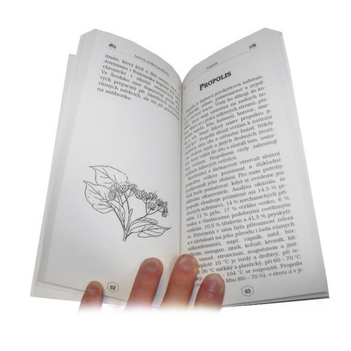 Receptář: Léčení včel. produkty J.R.