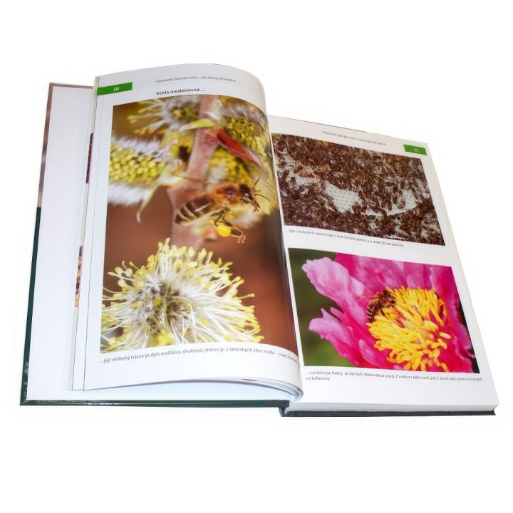 Fenomenální včely J.T.