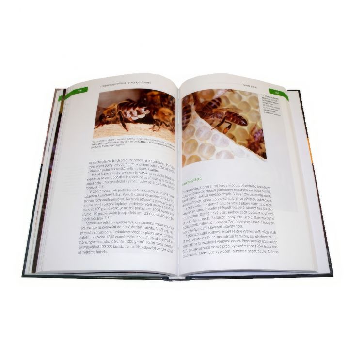 Fenomenální včely J.T.