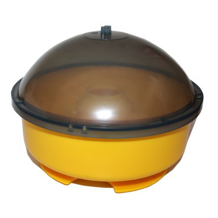 Hmyzí past na mouchy, vosy, atd