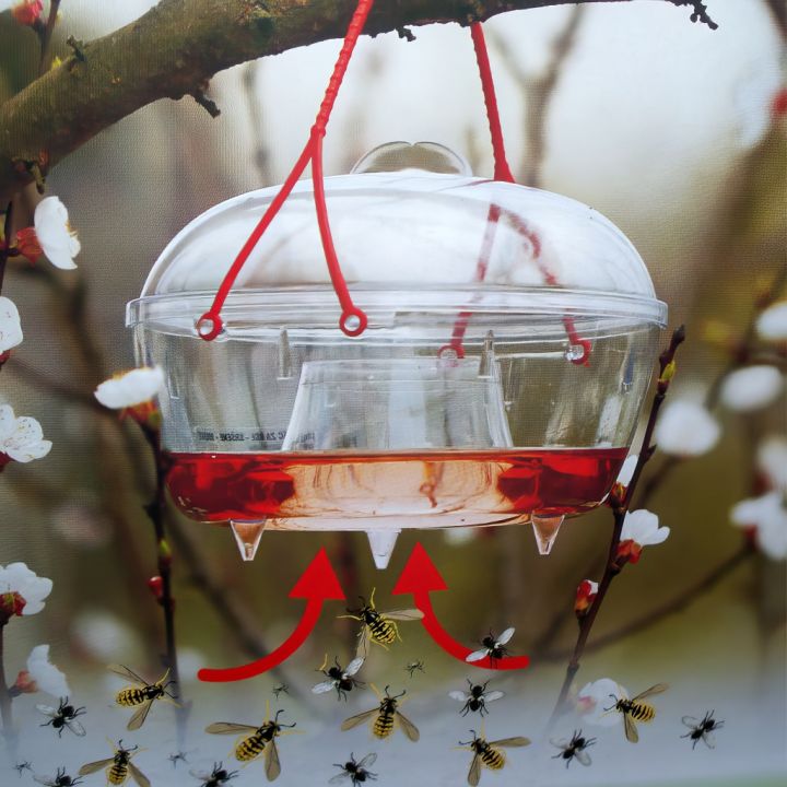 Hmyzí past na mouchy, vosy, atd