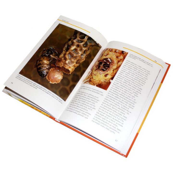 Zázračné včely - A. Spürgin