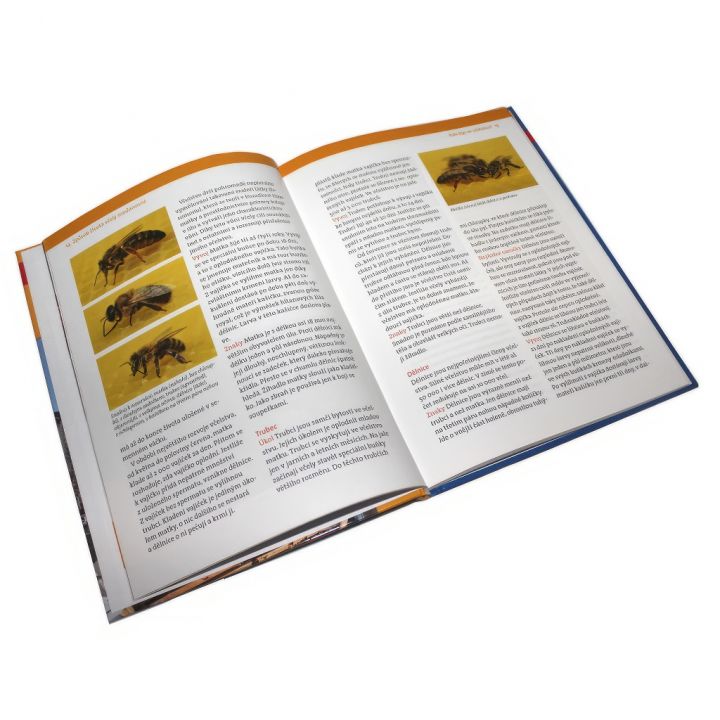 Včelaření ve městě - G. Petrausch