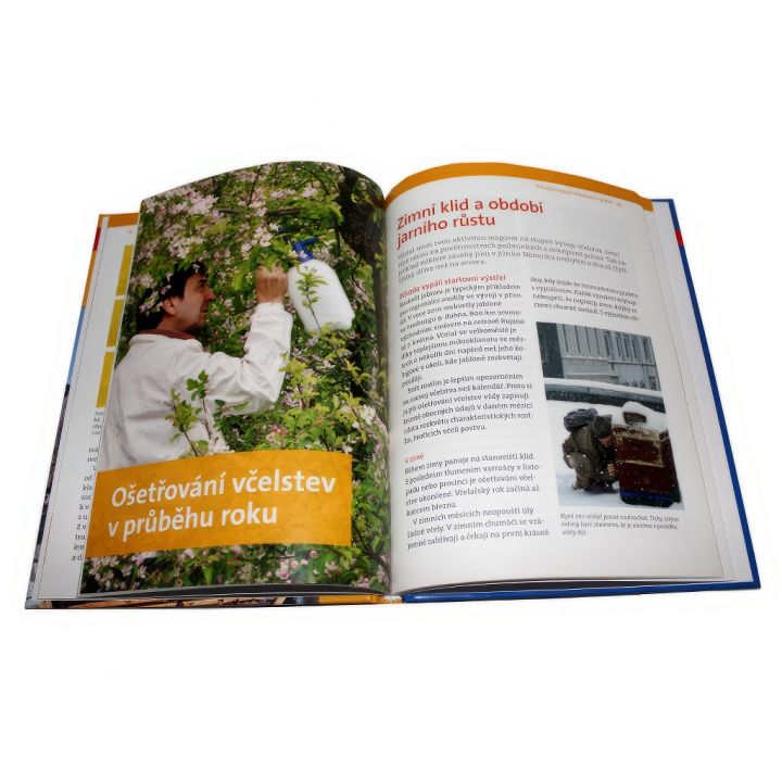 Včelaření ve městě - G. Petrausch