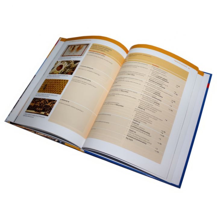 Včelaření ve městě - G. Petrausch