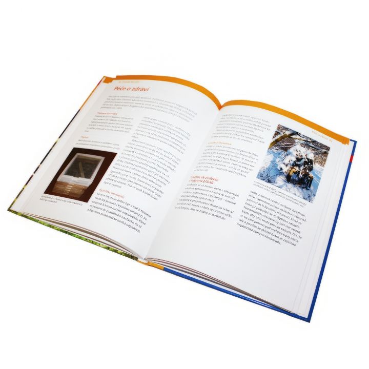 Bedněný úl, košnice a jednoduché úly F. P.