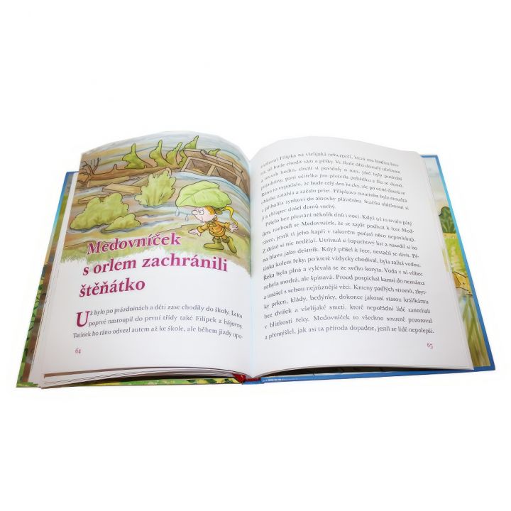 Medovníček a řeka Modrávka J.L.