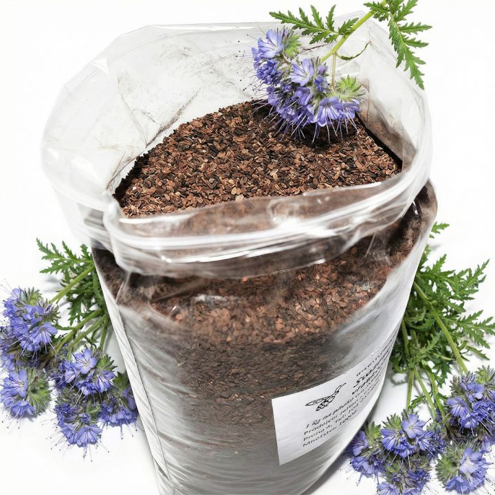 Svazenka vratičolistá - 1 kg