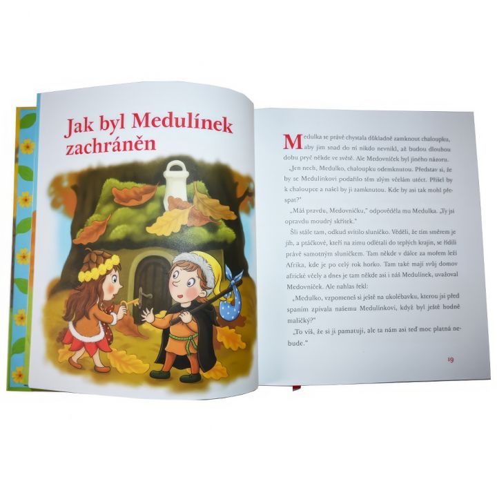 Medovníček a jeho nemocnice pro zvířátka - Jan Lebeda