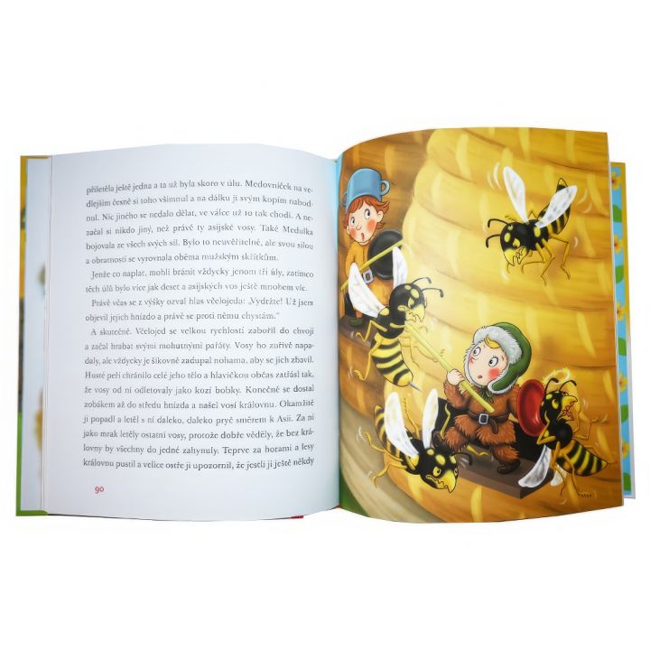 Medovníček a jeho nemocnice pro zvířátka - Jan Lebeda