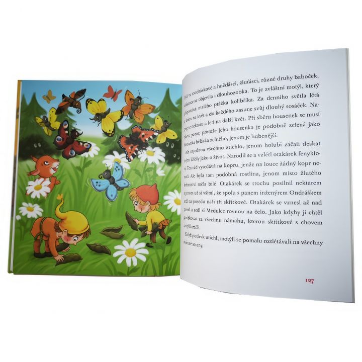 Medovníček a jeho nemocnice pro zvířátka - Jan Lebeda