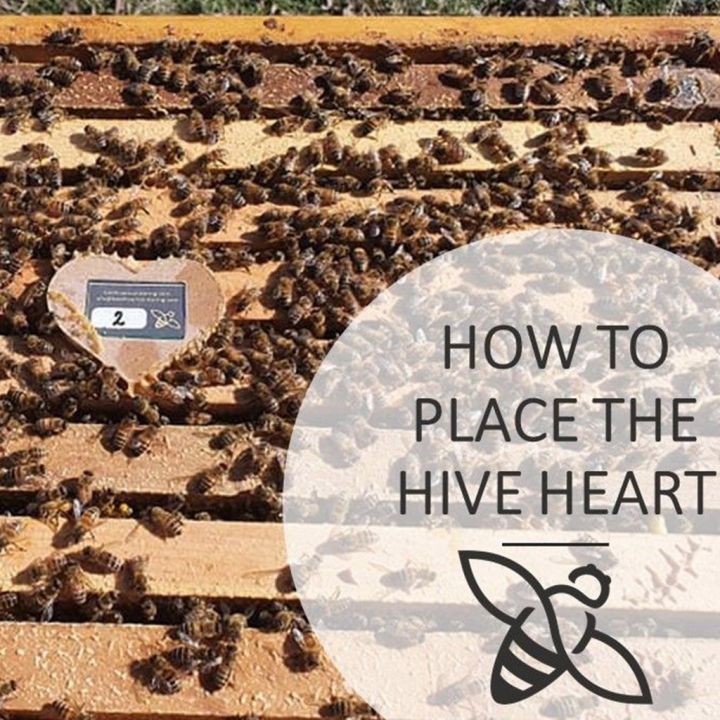 Úlový snímač Bee Heart