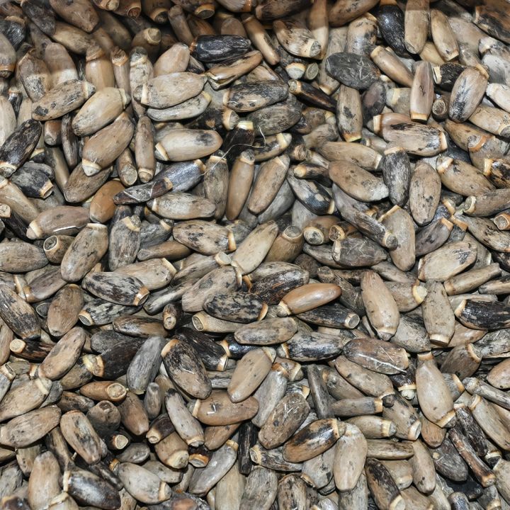 Ostropestřec mariánský - 0,5 kg