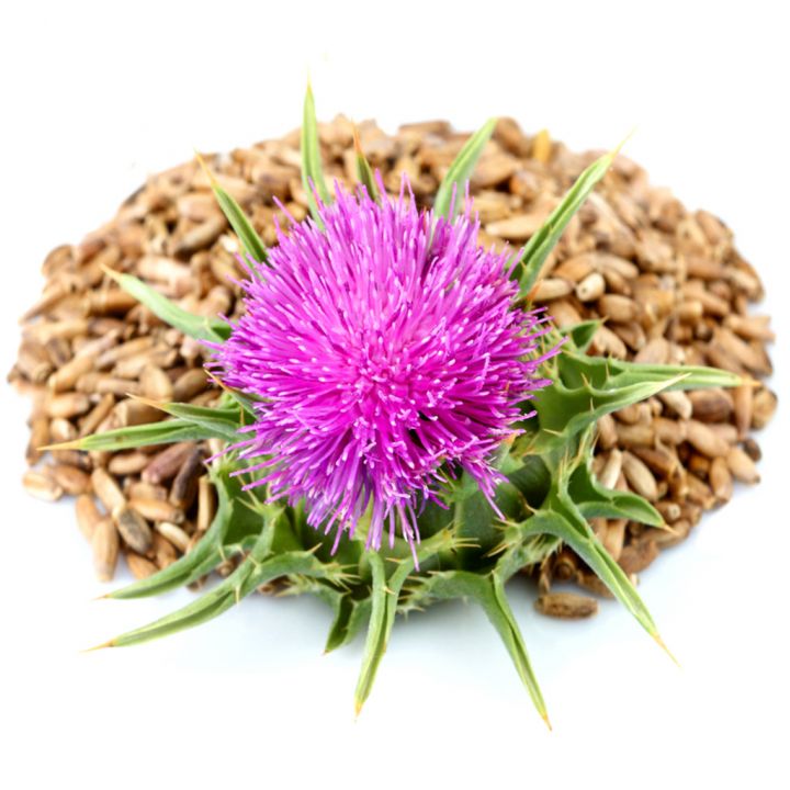 ostropestrec-06.jpg_1 Ostropestřec mariánský - 0,5 kg