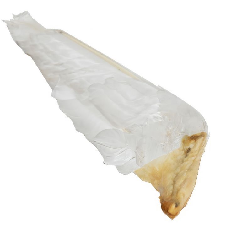 4623-husi-brk-k-ometani-vcelich-ramku-03.jpg_1 Husí brk k ometání včelích rámků