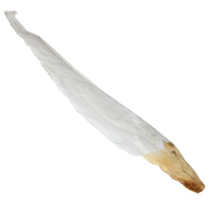 4623-husi-brk-k-ometani-vcelich-ramku-04.jpg_1 Husí brk k ometání včelích rámků