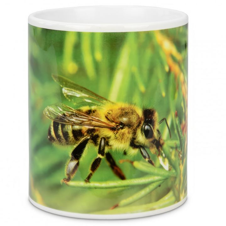 Hrneček ApiSina "medovice"