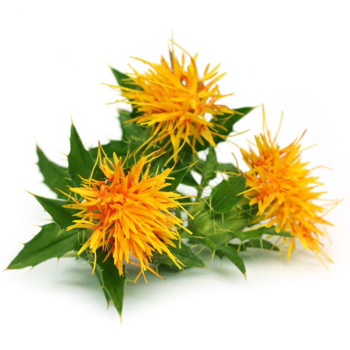 svetlice-barvirska-0d7.jpg_1 Světlice barvířská saflor - 0,5 kg